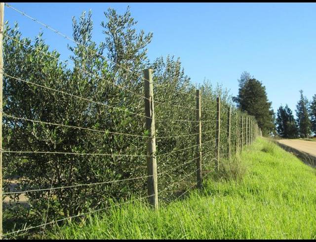 FARM FOR SALE IN WELLINGTON